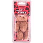 Ароматизатор-игрушка Медвежонок Арбуз SKYWAY